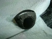 DSCF2990.webp