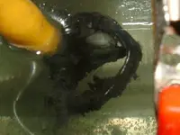 DSCF2989.webp