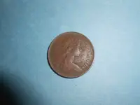coin turtle 005.webp coin turtle 005.webp