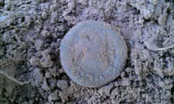 IMAG0773.webp IMAG0773.webp
