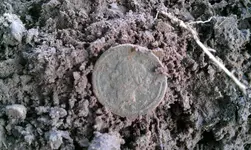 IMAG0774.webp