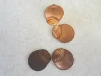 pennyerror.webp