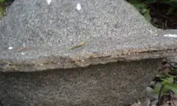 20140630_175833.webp