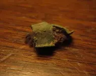 IMG_4823.webp IMG_4823.webp