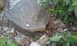 20140630_175845.webp
