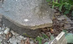 20140630_175852.webp