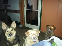 2014-05-24 22.28.20.webp