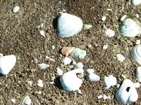 point on sandy matrix.webp