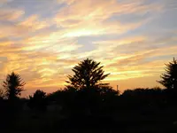 DSCN4858.webp DSCN4858.webp