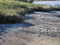 IMG_0578.webp