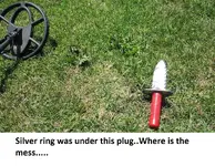 Park Finds 7-26-14 006.webp