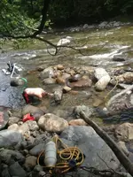 image-2234836727.webp