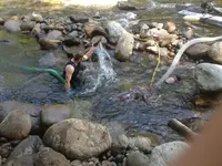 image-4259610834.webp