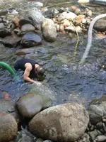 image-4184202640.webp