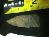 image-2118920222.webp