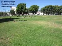 Park Finds 7-26-14 014.webp