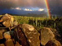 Rainbows.webp