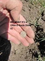 Park Finds 7-26-14 012.webp