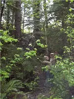 Mike & Nikki Climbing.webp
