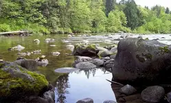 Sultan River 2.webp