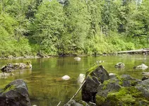 Sultan River 1.webp