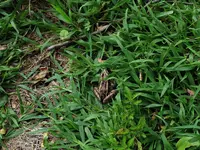 K1600_004.webp