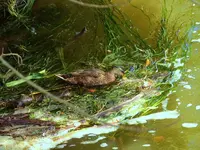 K1600_011.webp