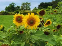 K1600_032.webp