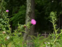 K1600_024.webp