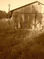 10404167_492341384202333_1853593577391035214_n.webp