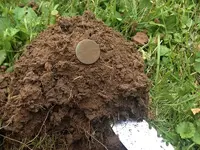 Copper - In The Hole - Small.webp