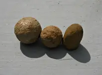Ammunition.webp