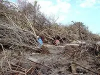 debris1.webp