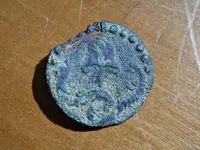 Rattlesnake Button 1.webp