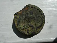 Rattlesnake Button 2.webp
