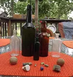 DSCF7024 (2).webp