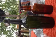DSCF7029.webp
