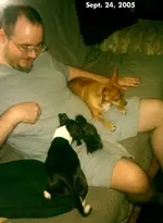 Randall, Skipper, Macy, and Sassy.webp