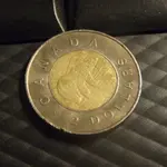 Toonie1.webp