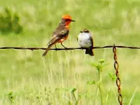 RSCN6727.webp RSCN6727.webp