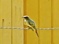 FSCN5149.webp