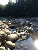 image-3174396162.webp