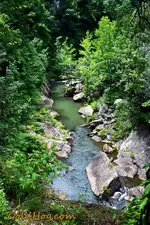 1911890_705901169463992_6590221537839547334_n.webp