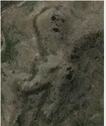 face.webp