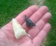 WP_20140809_003.webp