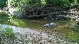 WP_20140616_009.webp