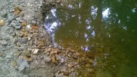 WP_20140628_001.webp