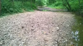 WP_20140628_002.webp