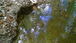 WP_20140704_001.webp