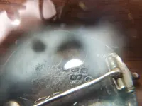 100_1008.webp